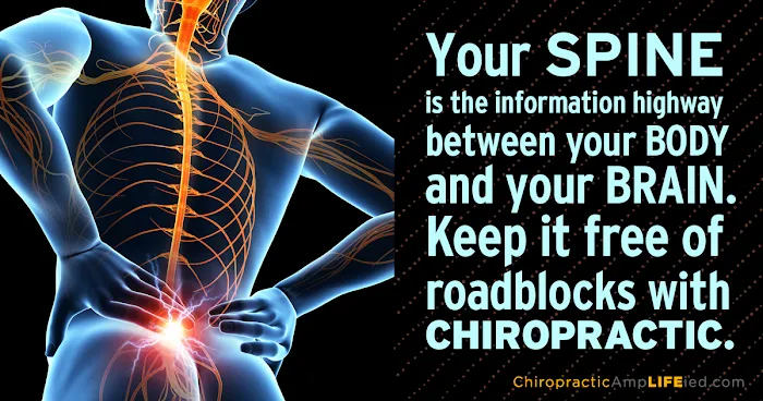 Dr. Michael P. Brass Picture 9