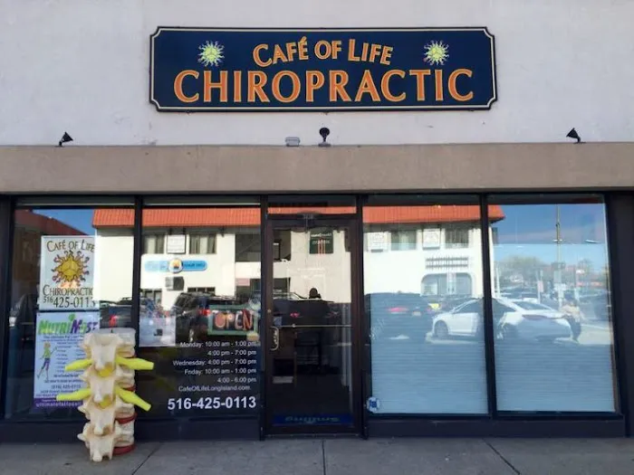 Cafe of Life Chiropractic Long Island - Long Beach Location Picture 2