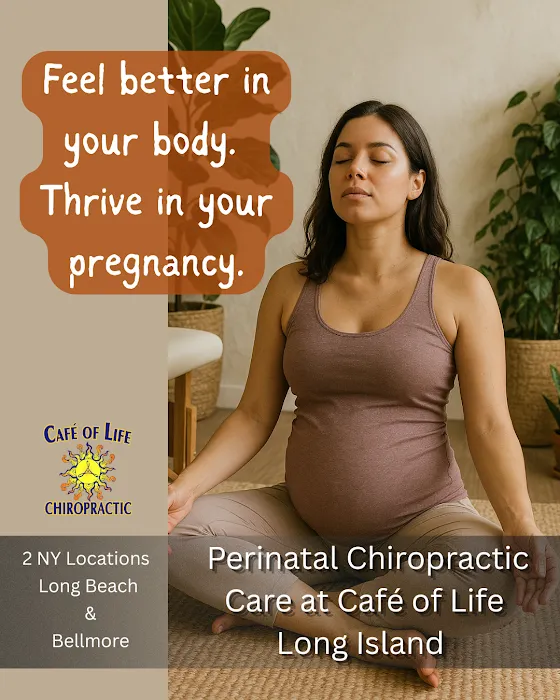 Cafe of Life Chiropractic Long Island - Long Beach Location Picture 4