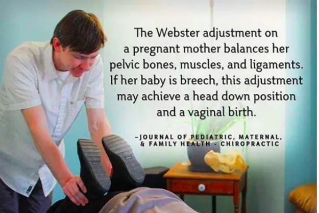 Cafe of Life Chiropractic Long Island - Long Beach Location Picture 6