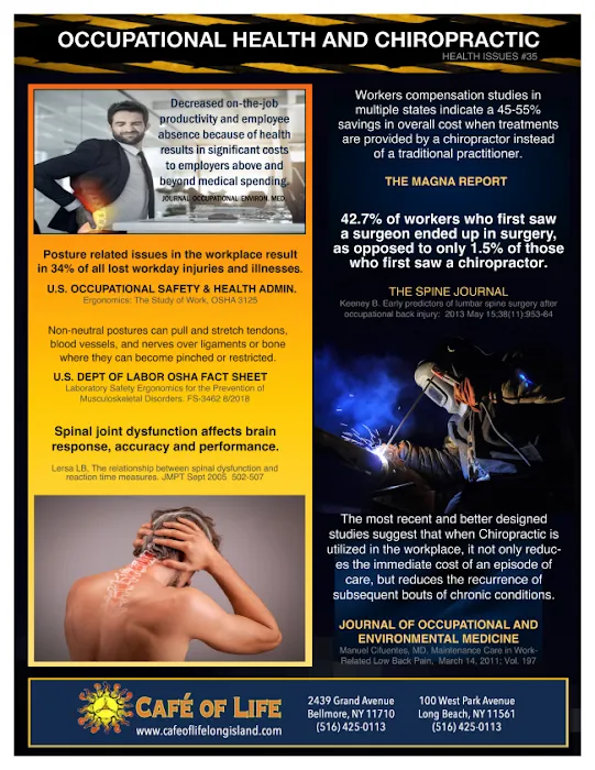 Cafe of Life Chiropractic Long Island - Long Beach Location Picture 9