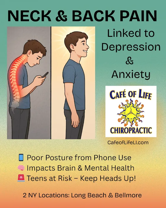 Cafe of Life Chiropractic Long Island - Long Beach Location Picture 8