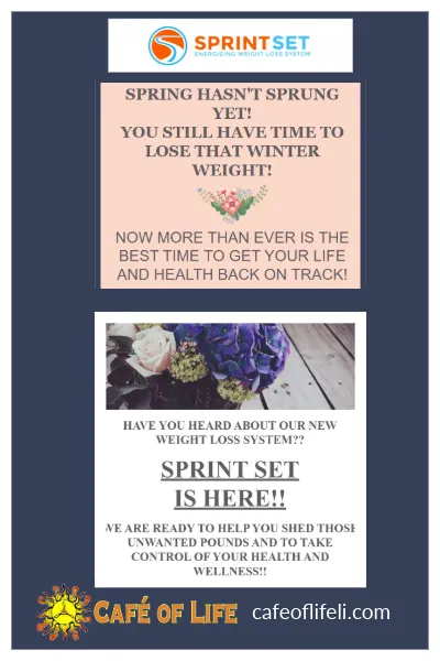 Cafe of Life Chiropractic Long Island - Long Beach Location Picture 10