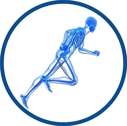 NYFirstChiropractic: Jeffrey Linder, DC Picture 9