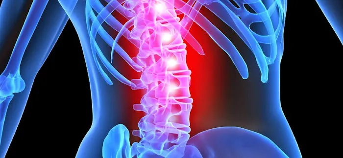 Richard C. Meoli, DC Picture 2