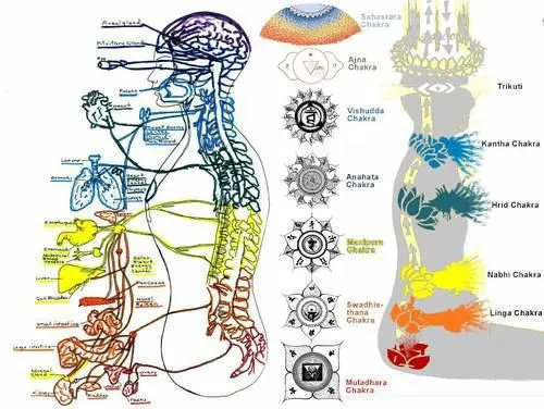 Shari R. Jacobs, DC Picture 4