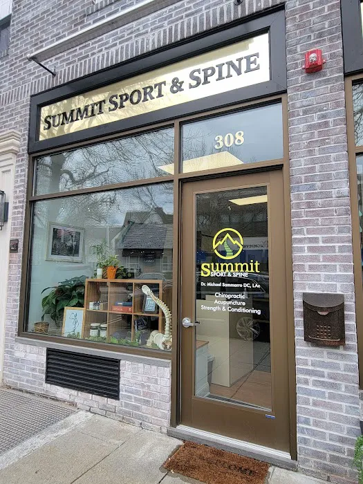 Summit Sport and Spine Picture 4