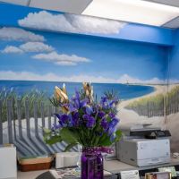 East Bay Chiropractic Wellness P.C. ico