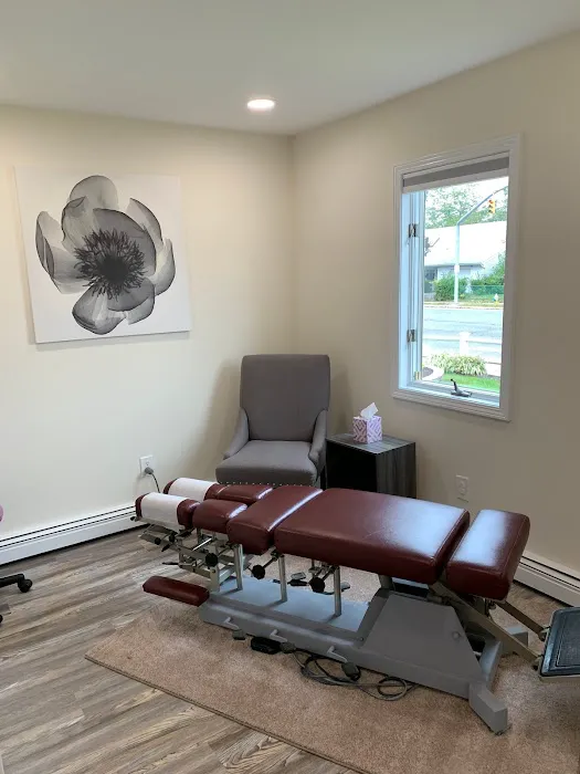 Healthy Spine Chiropractic P.C. : Dr. Lauren Kronowitz Picture 2