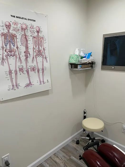 Healthy Spine Chiropractic P.C. : Dr. Lauren Kronowitz Picture 3