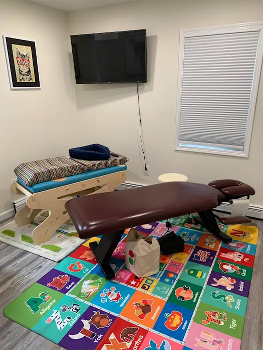 Healthy Spine Chiropractic P.C. : Dr. Lauren Kronowitz Picture 10