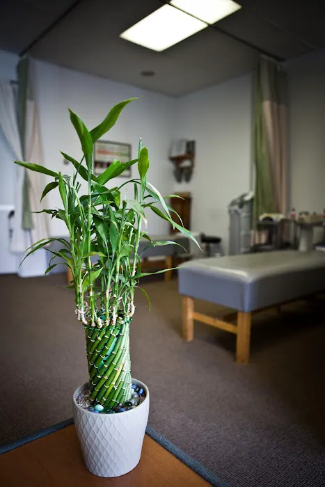 Kaizen Chiropractic & Physical Therapy Centre Picture 9
