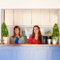 Hollenbach Family Chiropractic ico