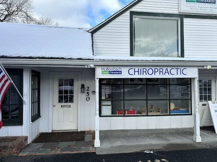 Hollenbach Family Chiropractic Picture 8