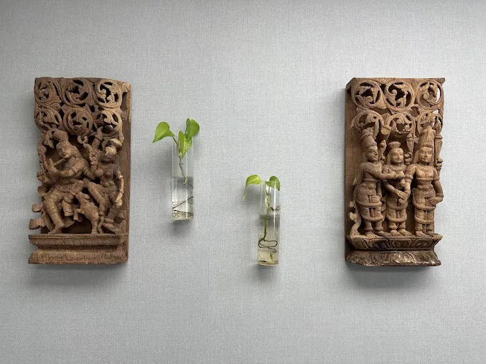 Well Rooted Health Picture 3