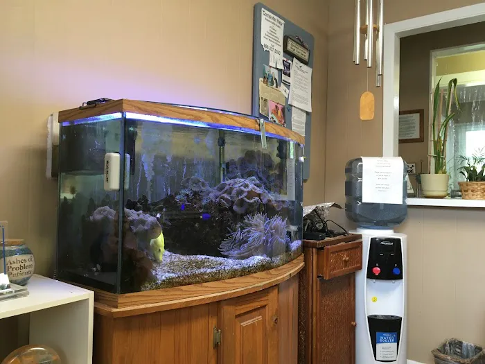 Anthony Carusone, DC Picture 1