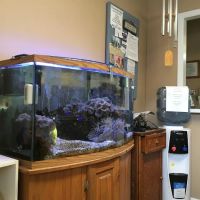 Anthony Carusone, DC ico