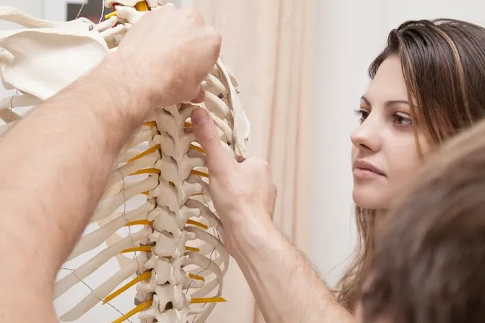 Ciarrocca Chiropratic Center Picture 5