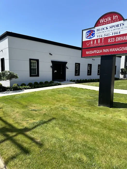 Block Sports Chiropractic & Physical Therapy Picture 3