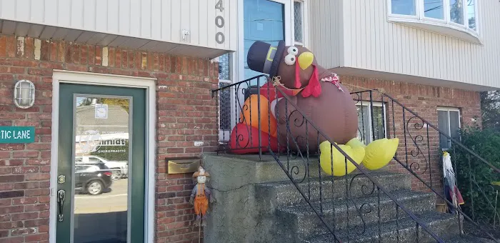 Schmidt Chiropractic Picture 1