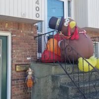 Schmidt Chiropractic ico