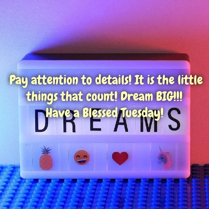 Schmidt Chiropractic Picture 9