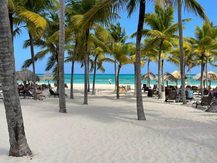 Christopher A. Schmidt, DC Picture 8