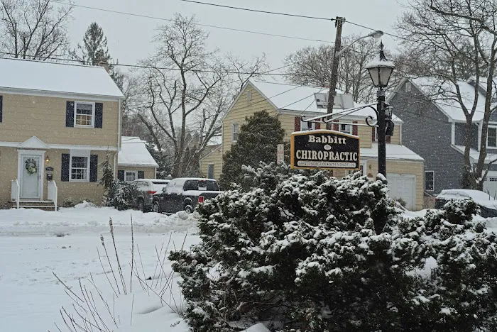 Babbitt Chiropractic, LLC Picture 2