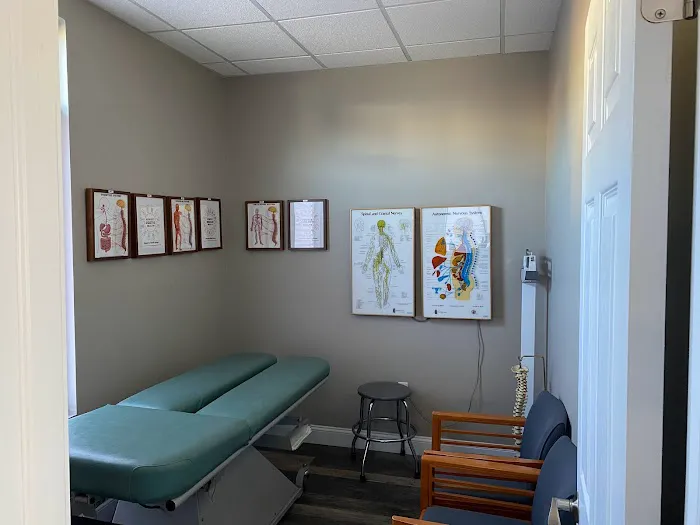 DiLollo Chiropractic Center PC Picture 1