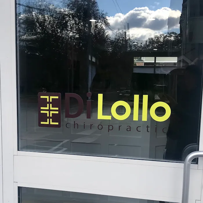 DiLollo Chiropractic Center PC Picture 6