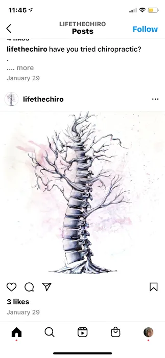 Dr. Debra Maibach - Chiropractor Picture 5