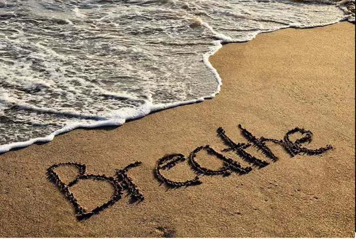 Dr. Debra Maibach - Chiropractor Picture 7