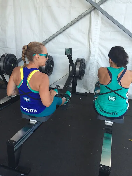 Island Chiropractic & Next Step Physical Therapy of Hicksville Picture 1