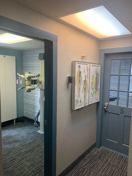Priestley Chiropractic Picture 10