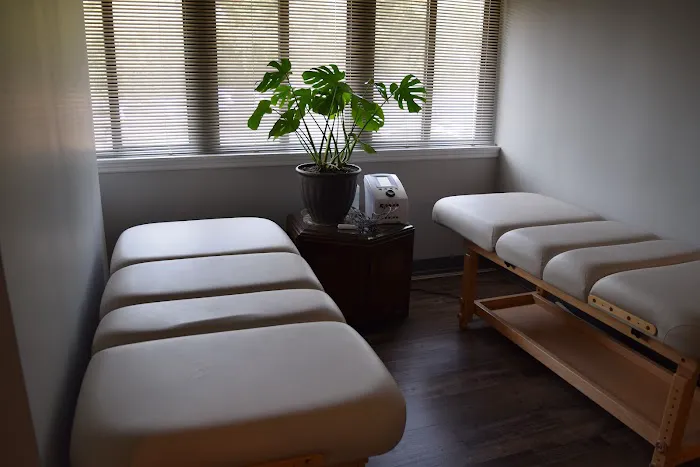 Optimize Spine & Wellness Picture 1