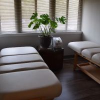 Optimize Spine & Wellness ico