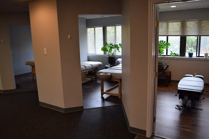 Optimize Spine & Wellness Picture 2