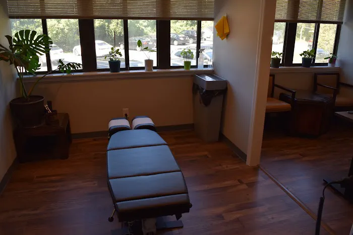 Optimize Spine & Wellness Picture 4