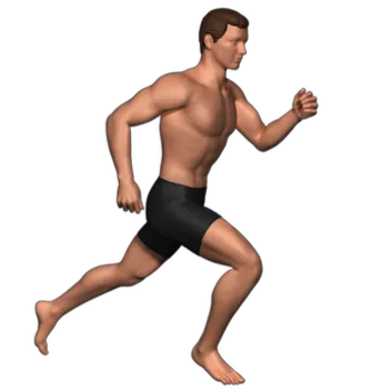 Lendino Sports & Family Chiropractic Picture 4