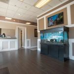 Back 2 Health Massapequa