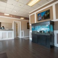 Back 2 Health Massapequa ico