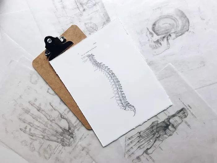 Joseph D. D'Agostini Chiropractic Picture 7
