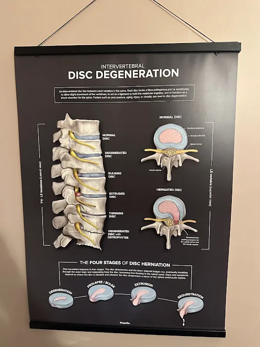 Apollo Upper Cervical Chiropractic Picture 9