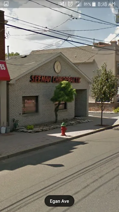 Seeman Family Chiropractic Picture 3