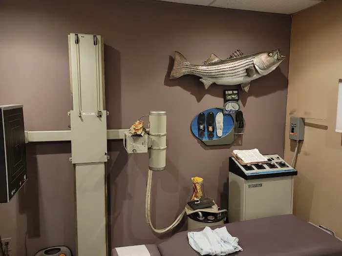 Hudak Chiropractic Center Picture 3