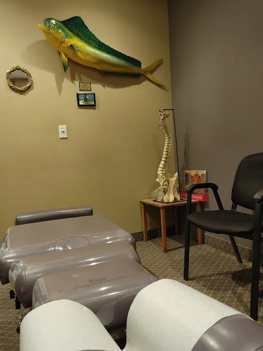 Hudak Chiropractic Center Picture 1