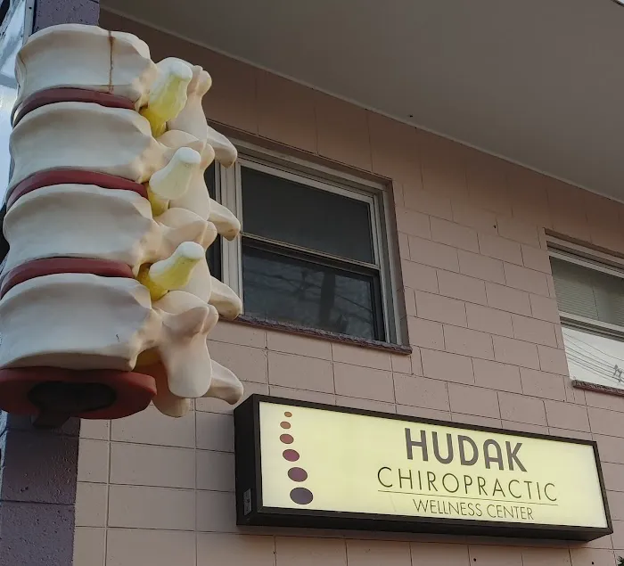 Hudak Chiropractic Center Picture 10