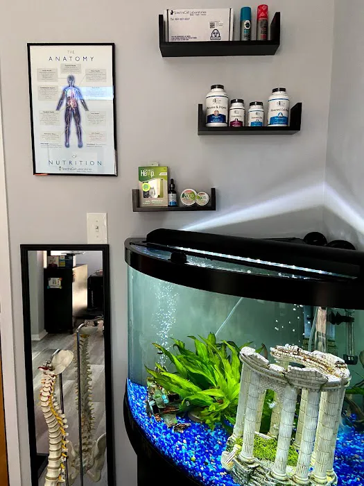Metuchen Chiropractic Picture 4