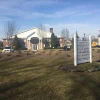 Strive2Move Chiropractor ico