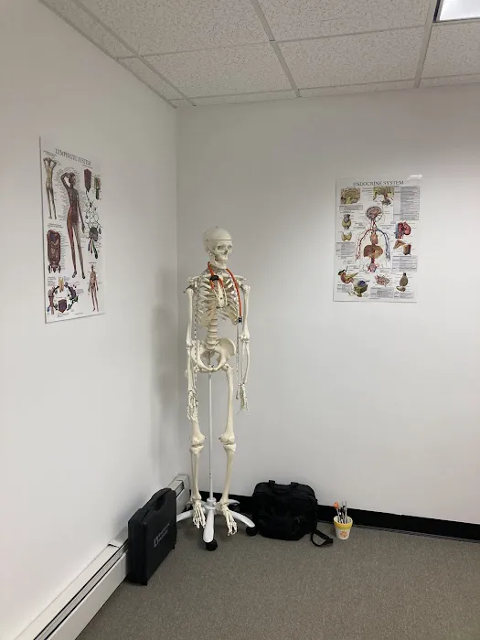 Rehab Chiropractic Network Picture 8